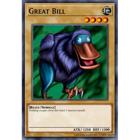 Great Bill (Rare)
