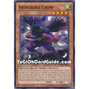 Shinobird Crow (Common) – Raging Tempest | Carta YUGIOH en México