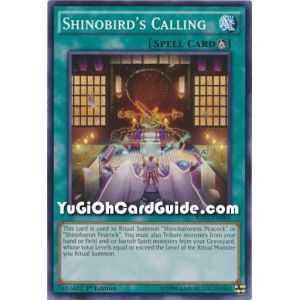 Shinobird's Calling (Common) – Raging Tempest | Carta YUGIOH en México
