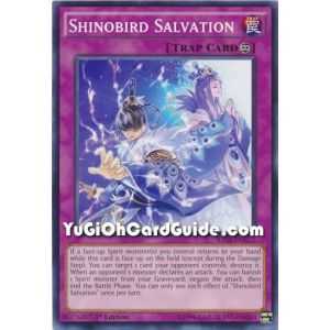 Shinobird Salvation (Common) – Raging Tempest | Carta YUGIOH en México