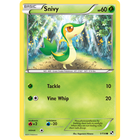 Snivy (Reverse Holo)