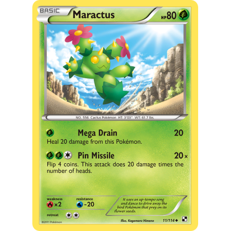 Maractus