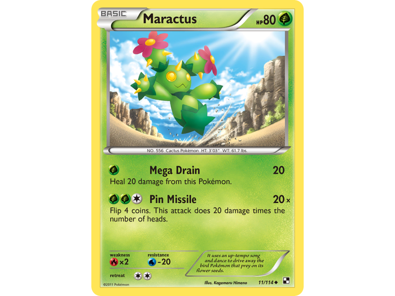Maractus