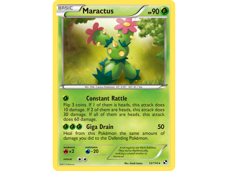 Maractus
