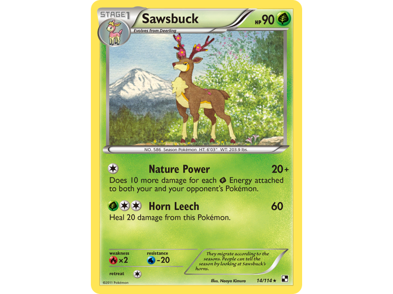Sawsbuck