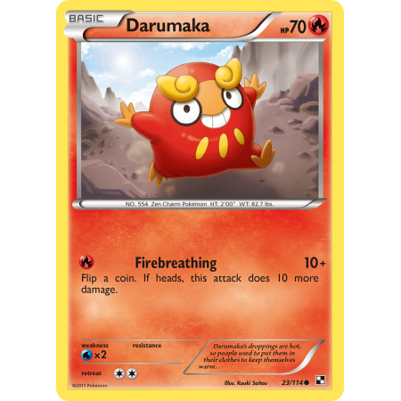 Darumaka