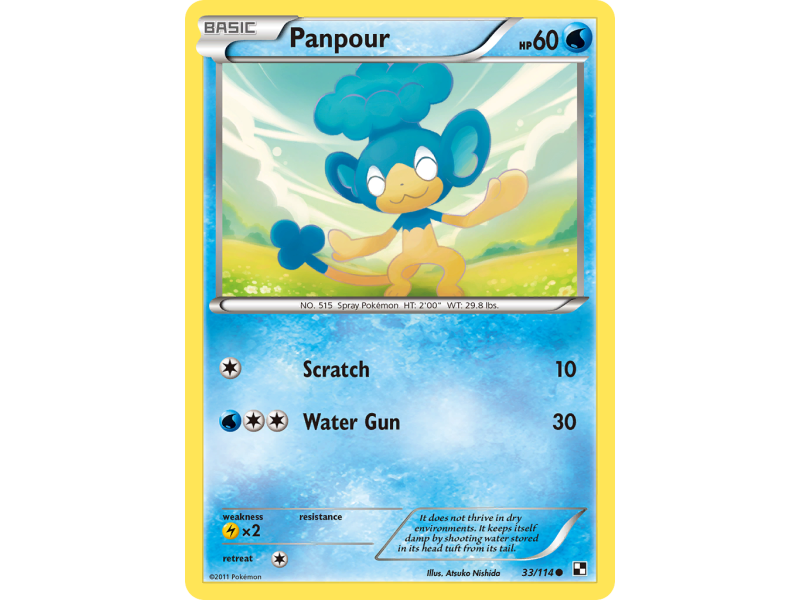 Panpour (Reverse Holo)