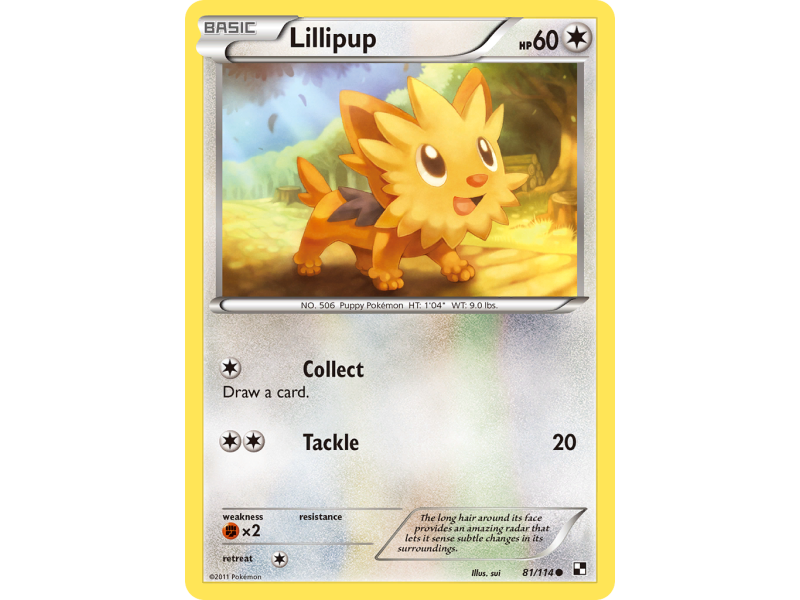 Lillipup