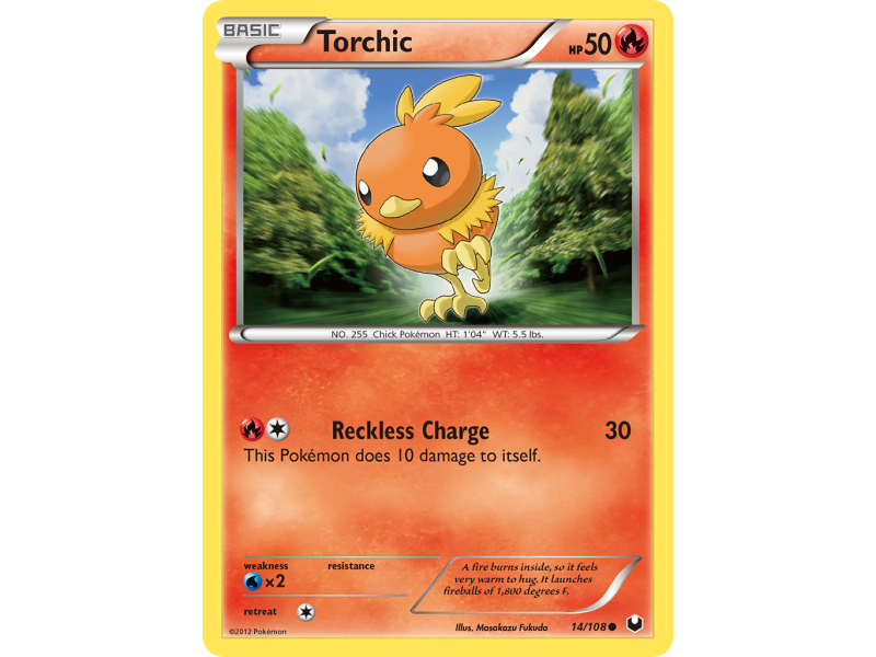 Torchic