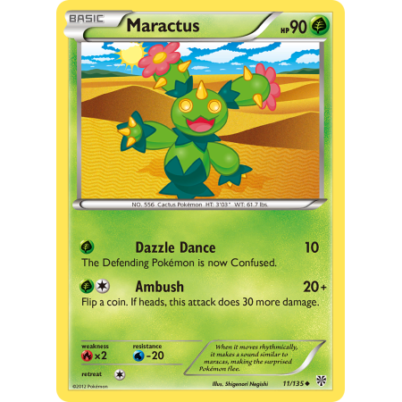 Maractus