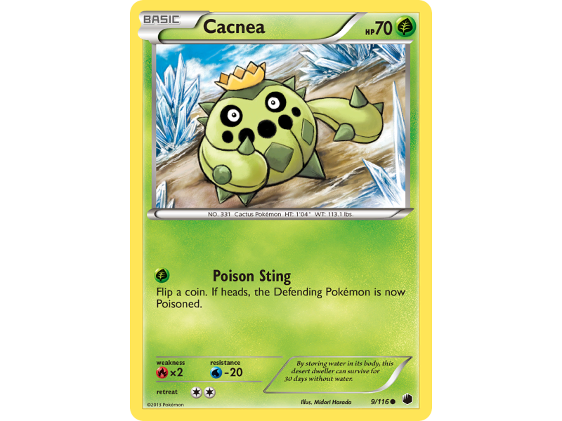 Cacnea (Reverse Holo)