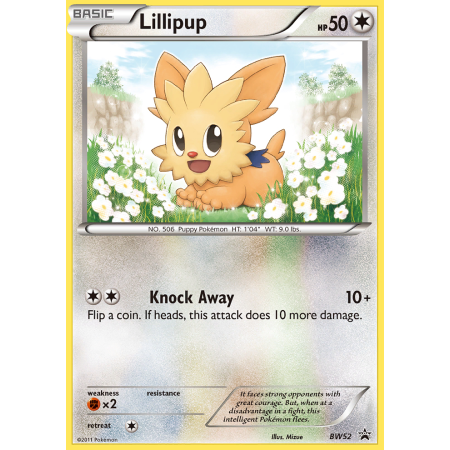 Lillipup