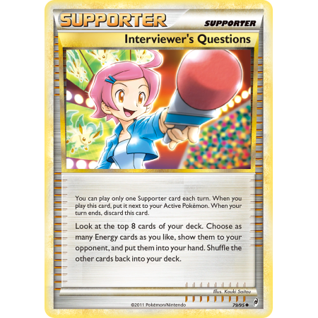 Interviewer's Questions