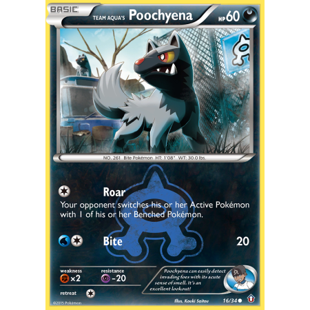 Team Aqua's Poochyena (Reverse Holo)