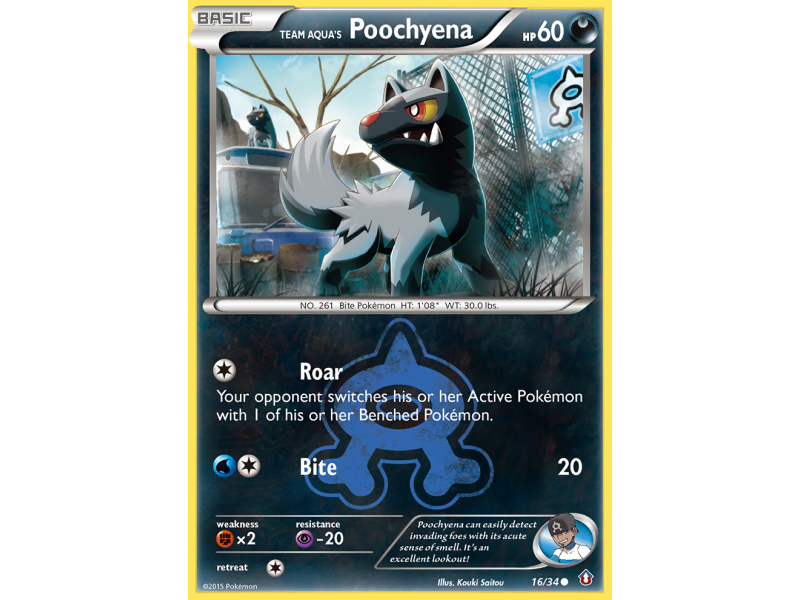 Team Aqua's Poochyena (Reverse Holo)