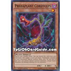 Predaplant Cordyceps (Common) – Maximum Crisis | Carta YUGIOH en México