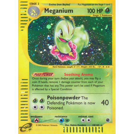 Meganium (Holo)