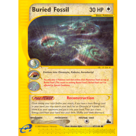 Buried Fossil