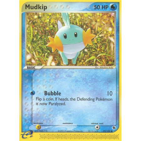 Mudkip