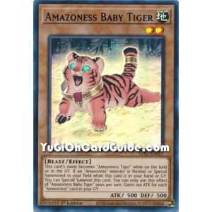 Amazoness Baby Tiger (Ultra Rare) – Legendary Duelist Season 1 | Carta YUGIOH en México
