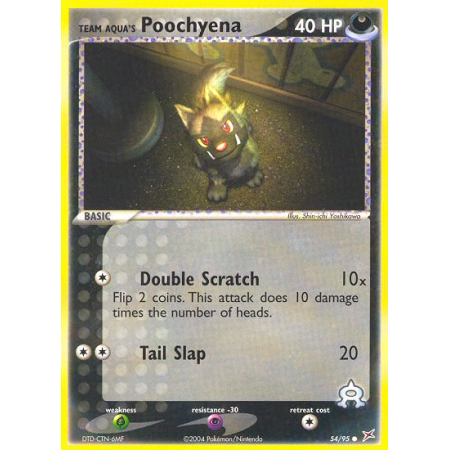 Team Aqua's Poochyena