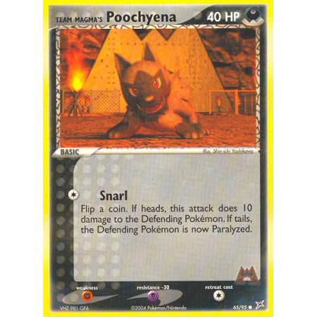 Team Magma's Poochyena