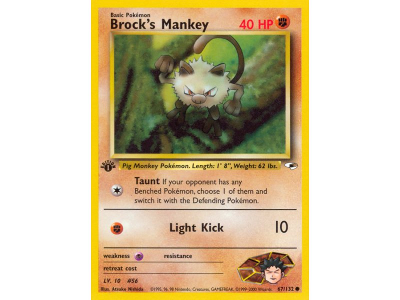 Brock's Mankey