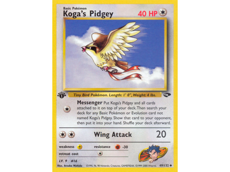 Koga's Pidgey