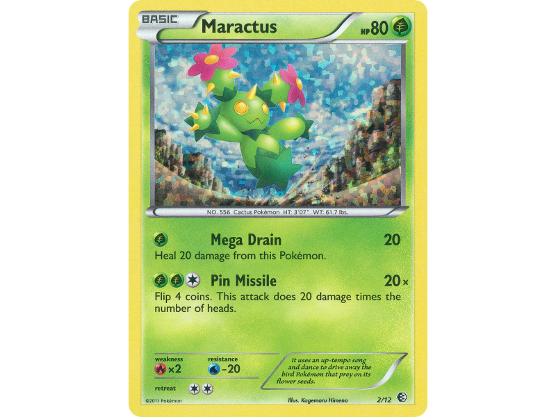 Maractus