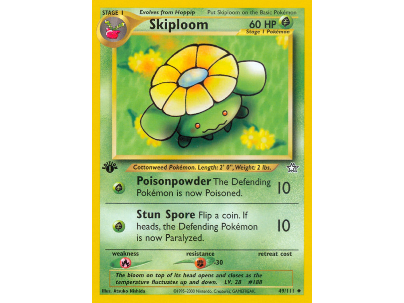 Skiploom
