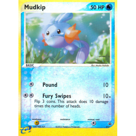 Mudkip