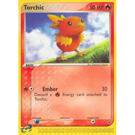 Torchic