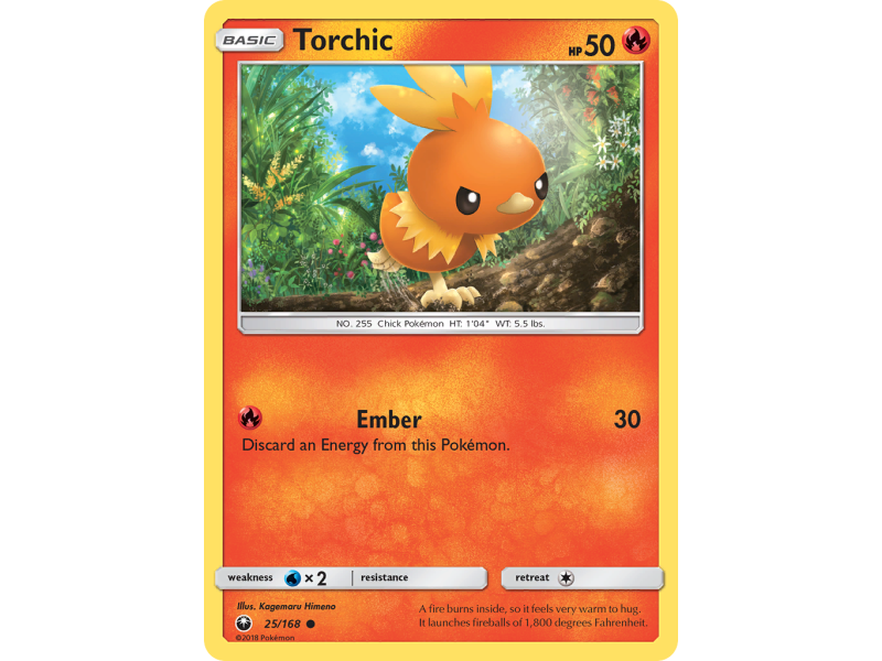 Torchic