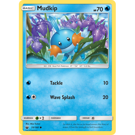 Mudkip