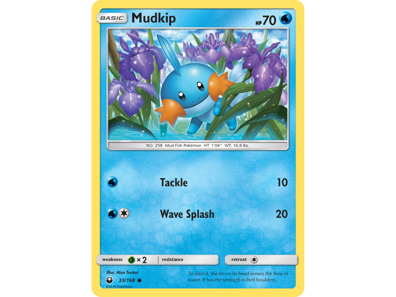 Mudkip (Reverse Holo)