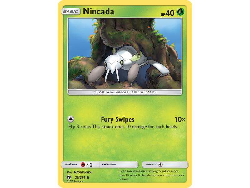 Nincada