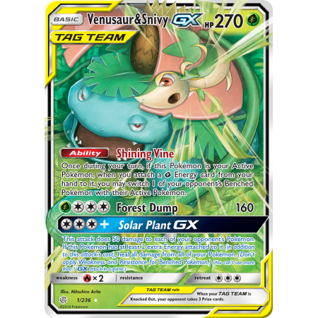 Venusaur & Snivy-GX (Holo)