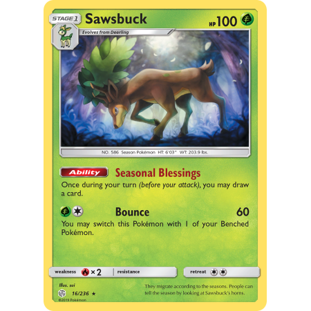 Sawsbuck (Holo)