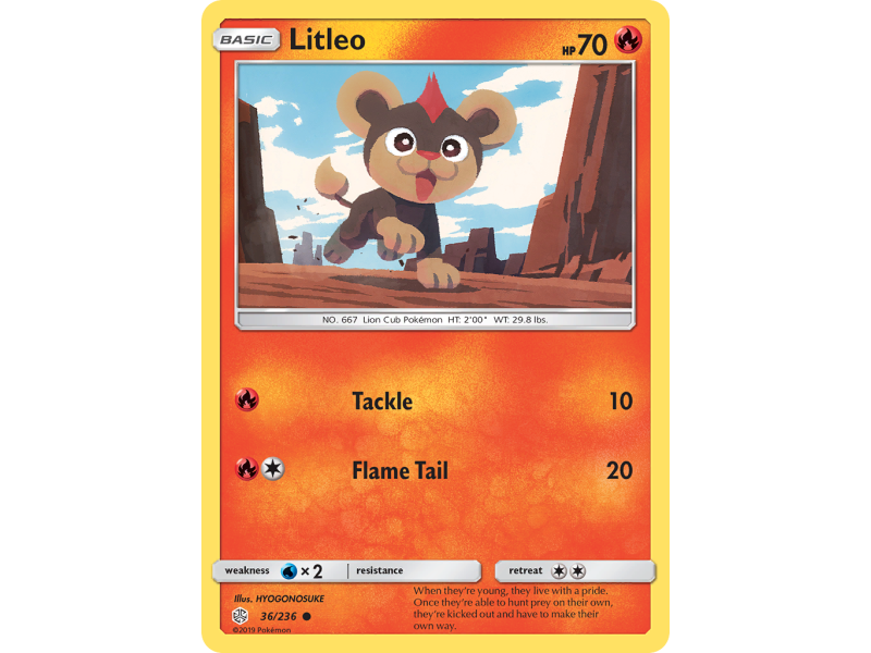 Litleo