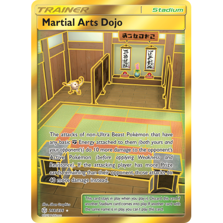 Martial Arts Dojo