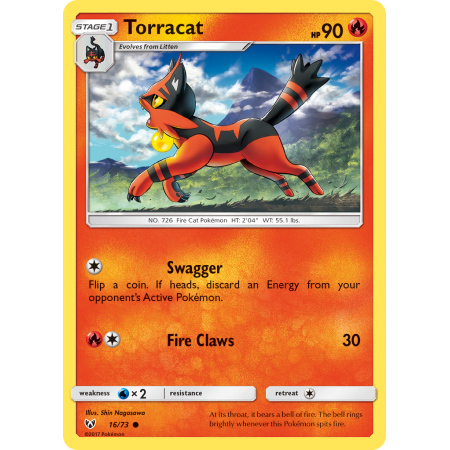 Torracat