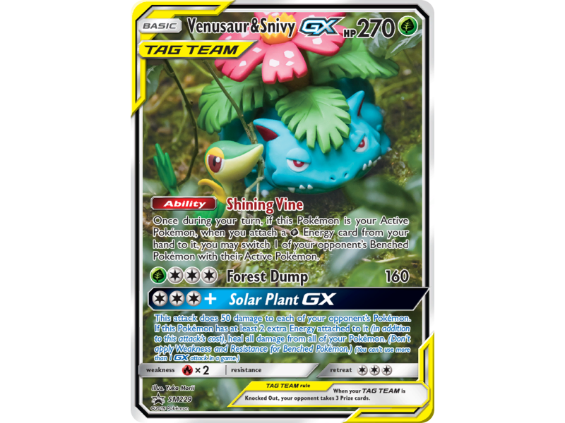 Venusaur & Snivy-GX