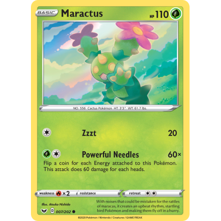 Maractus