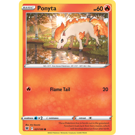 Ponyta