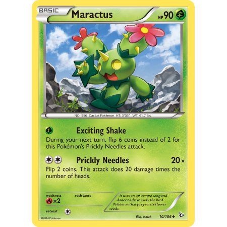 Maractus