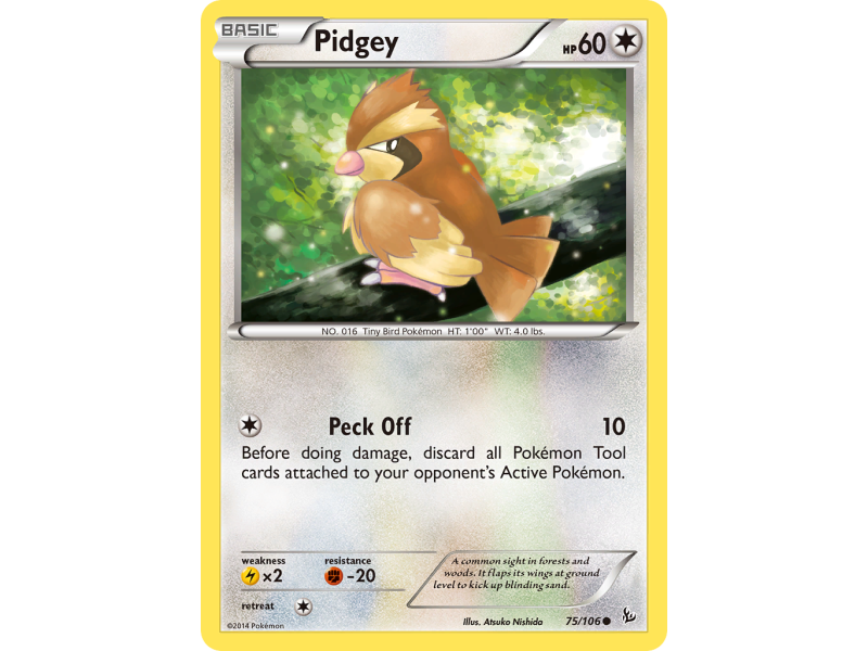 Pidgey