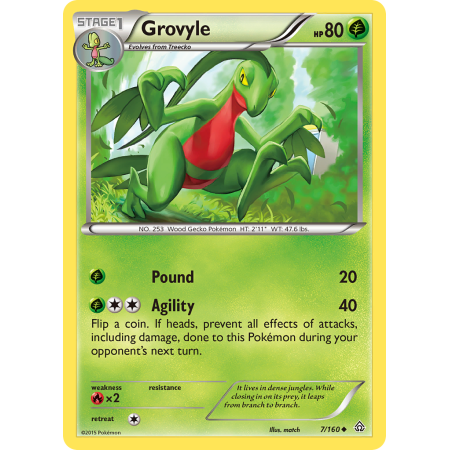 Grovyle (Reverse Holo)