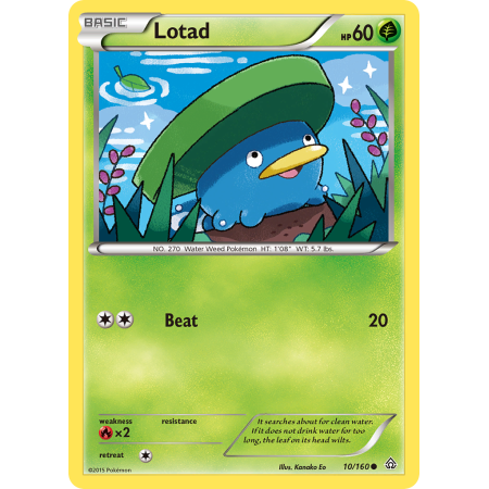 Lotad