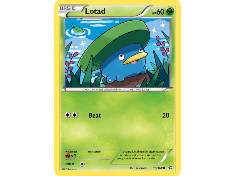 Lotad