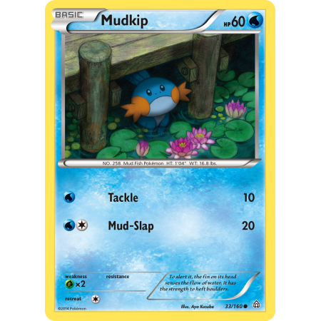 Mudkip